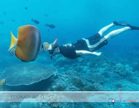 Spot snorkeling Nusa Penida