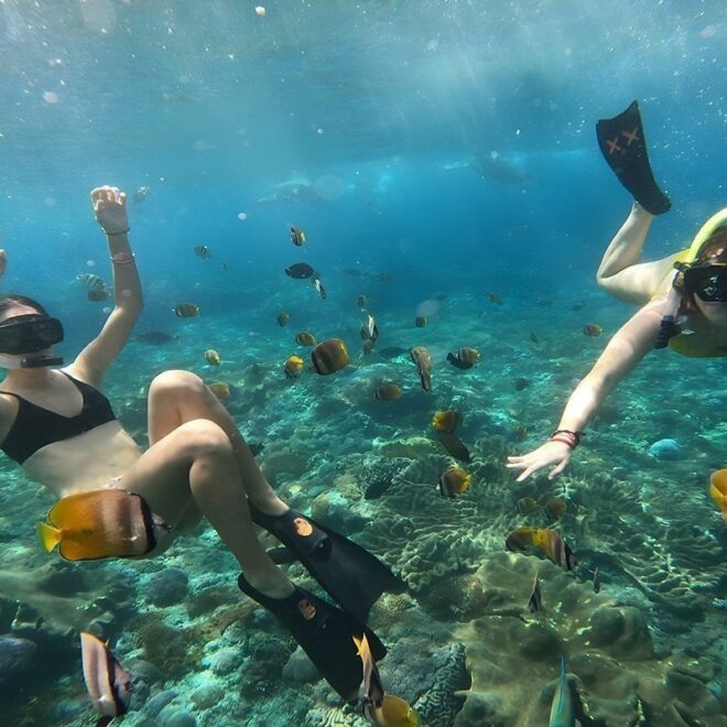 Spot Snorkeling Nusa Penida: Surga Bawah Laut yang Menakjubkan